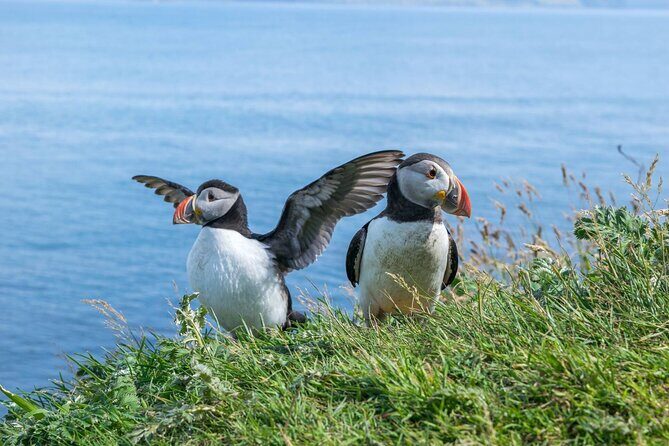 1 Day Moray Coast Tour with Speyside Whisky from Inverness - Key things you’ll notice on this Moray Coast and whisky day