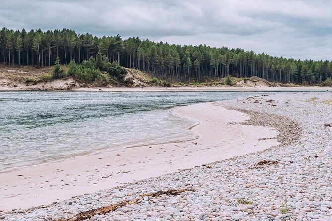 1 Day Moray Coast Tour with Speyside Whisky from Inverness - Wildlife on the cliffs: how the Troup Head plan (may) change