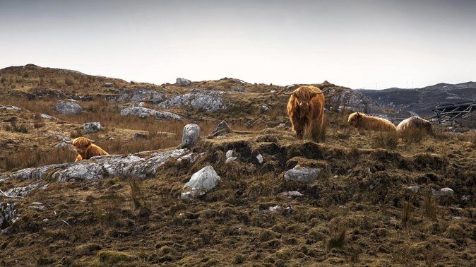 3-Day Lewis, Harris and the Outer Hebrides Small-Group Tour from Inverness - Arnol Blackhouse: Croft Life Comes Into Focus