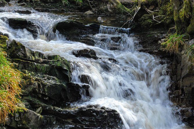 Alternative Loch Ness Tour by Secret Highlands - Price and value: what $376.86 buys you here