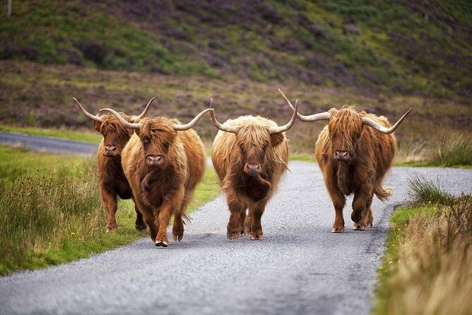Bespoke 5 day Tour - your personal itinerary - Day 5: Dunrobin Castle, Wick, Dunnet Head, and the coast back to Inverness
