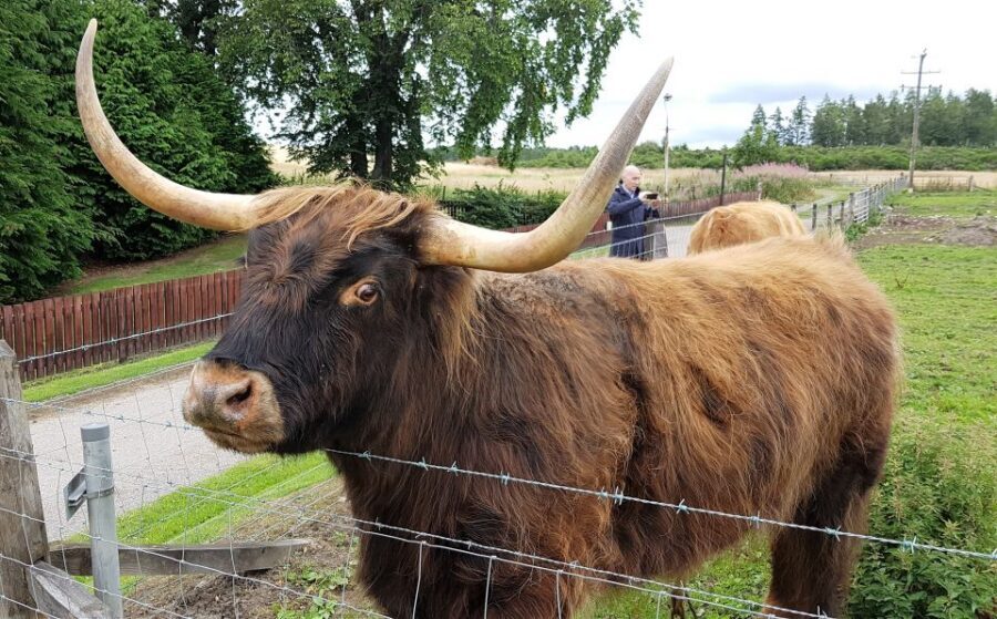 Craigs Luxury Speyside Private Whisky Tour - What Tasting Actually Costs (and Why That’s Not Always Bad)
