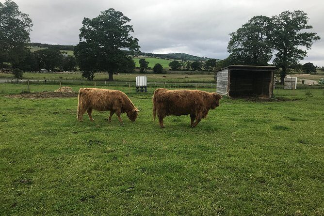 Culloden Battlefield, Clava Cairns and Loch Ness, Urquhart Castle - Stop 2: Culloden Battlefield and the Emotional Part of History