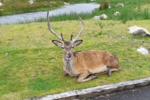Fort William and Glencoe - Fort Augustus Abbey Stop: Canal Town Energy Without the Hurry