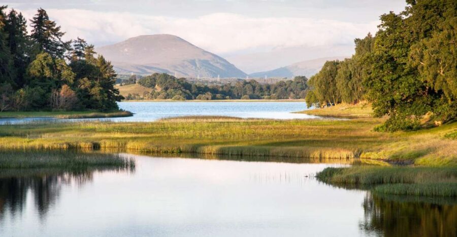 From Inverness: Cairngorms National Park and Whisky Tour - Carrbridge and the Old Packhorse Bridge: a Highland break that doesn’t feel rushed