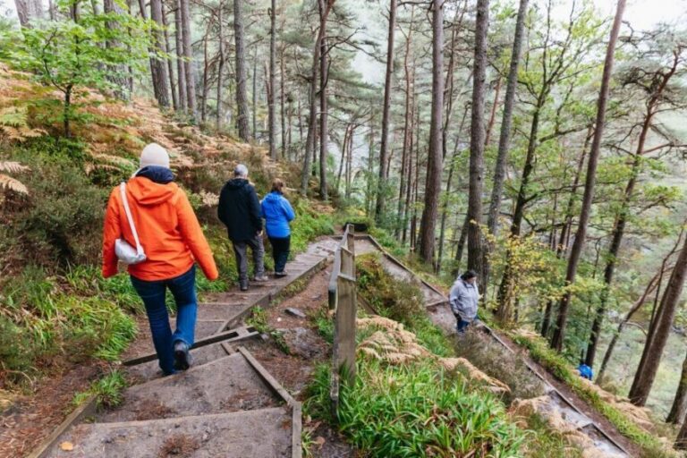 From Inverness: Loch Ness Guided Day Trip - Inverness pickup and the mini-bus rhythm that keeps you moving