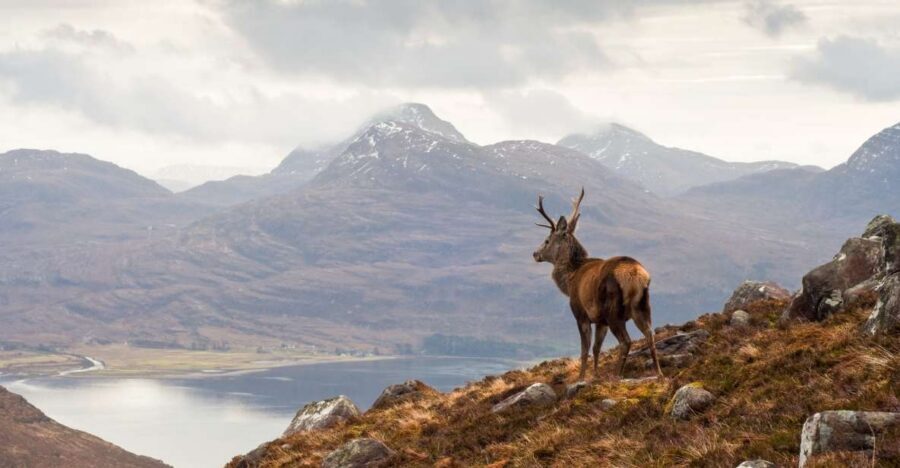 Inverness: Applecross, Loch Carron & Wild Highlands Day Tour - From Inverness to Applecross: Why the NC500 South Route Works in One Day