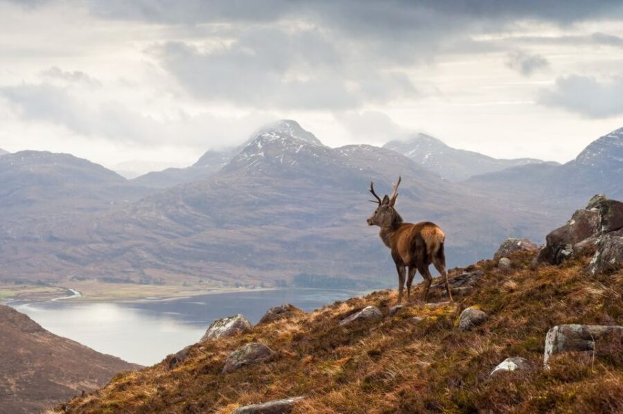 Inverness: Applecross, Loch Carron & Wild Highlands Day Tour - Lochcarron Coffee Stop and Achintraid Views Over Loch Carron