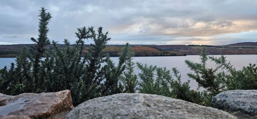 Inverness: Loch Ness Experience 1-Day Tour - Quick Takeaways