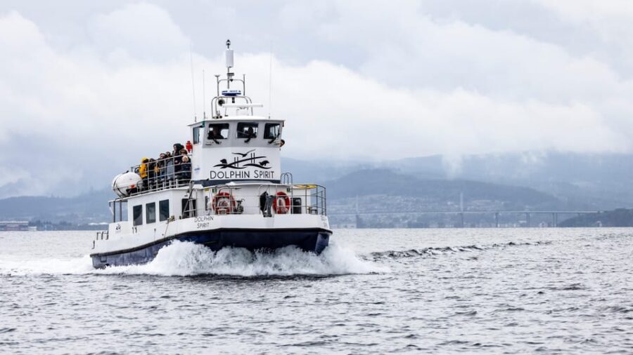 Inverness: Wildlife Watching Cruise to Chanonry Point - The Inverness to Chanonry Point Cruise: A Simple Plan That Pays Off