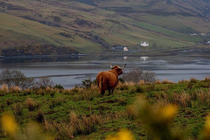 Isle of Skye and the Fairy Pools Tour - A Full-Day Inverness-to-Skye Circuit That’s Built for First-Timers