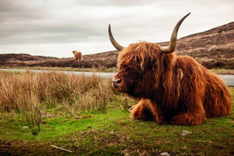 North Coast 500: 3-Day Small-Group Tour from Inverness - Bed and breakfast stays: en-suite comfort with a real-world location tradeoff