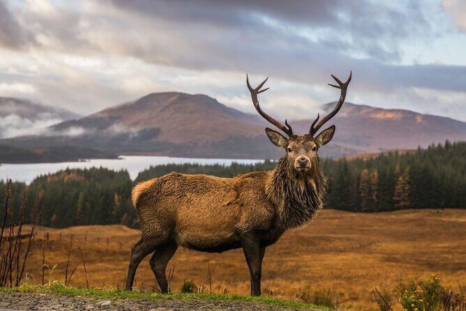 Private Isle of Skye Tour - Key Highlights You’ll Care About