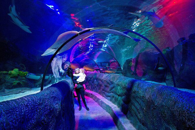SEA LIFE Loch Lomond General Admission Ticket - Ticket value: what you’re really paying for at SEA LIFE Loch Lomond