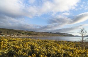 The Complete Loch Ness Experience Small-Group Day Tour from Inverness - Price at $79.34: where the value really comes from