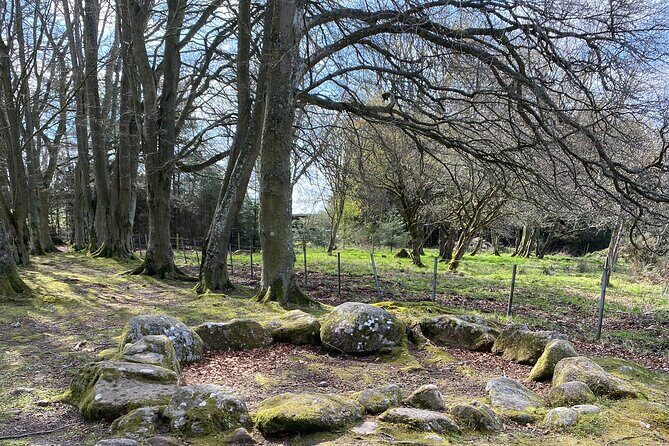 The Outlander Tour Clava, Culloden, Urquhart, Loch Ness & Beauly - Culloden Battlefield: the 1746 turning point you can feel