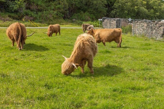 Wild West Coast Adventure (Part 1) - Clog and Craft in Invermoriston plus a quick Glen Shiel history hit